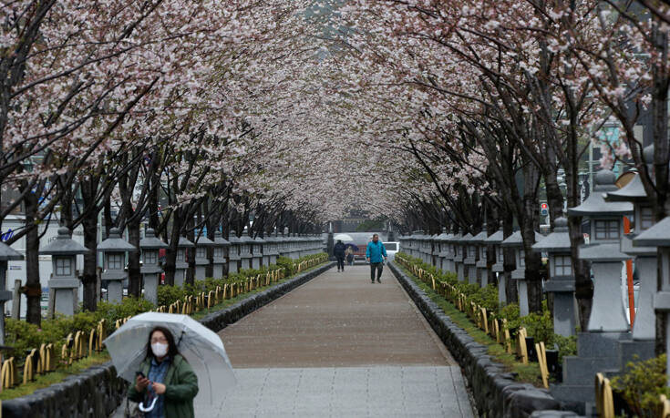 Μόνο στο διαδίκτυο, φέτος, η απόλαυση των ανθισμένων κερασιών στην Ιαπωνία