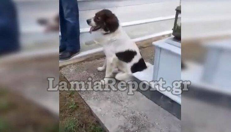 Φθιώτιδα: Τι έκανε ένας σκύλος στην κηδεία του αφεντικού του