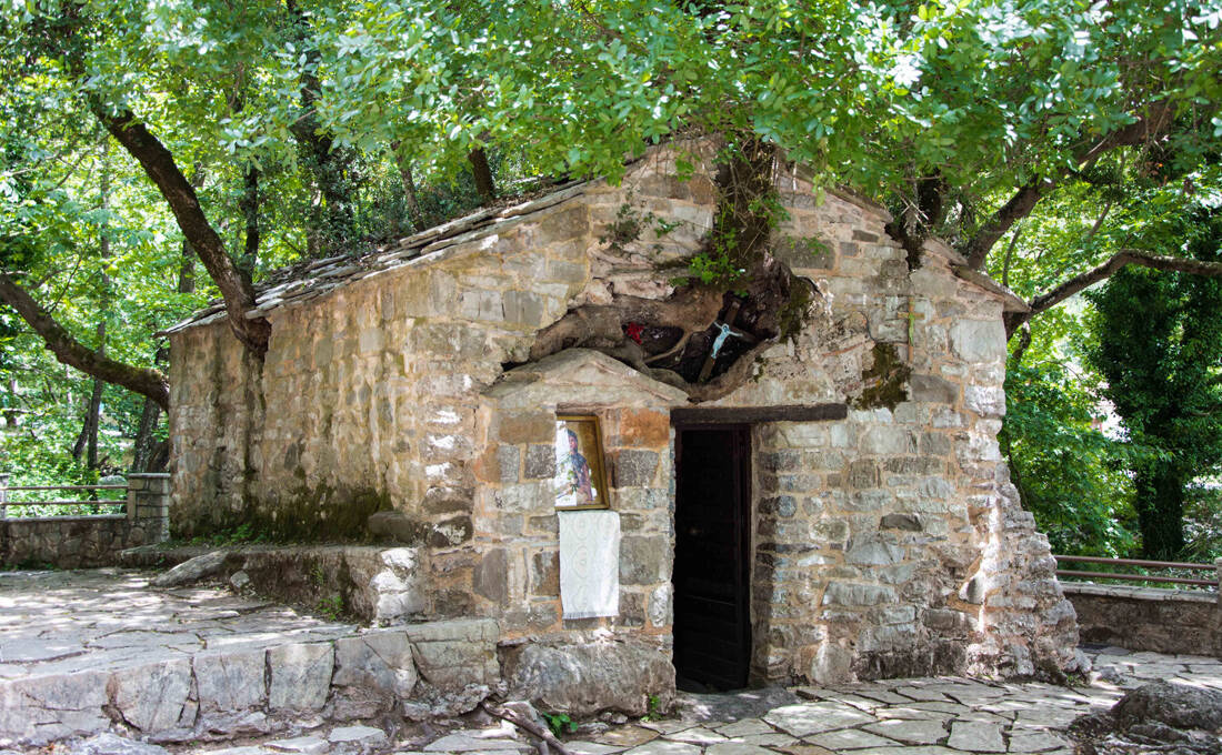 Το «θαυμαστό ναΐδριο» με τα 17 δέντρα στη σκεπή