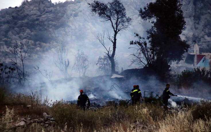 Φωτιά στις Κεχριές: Εκκενώνεται η κατασκήνωση