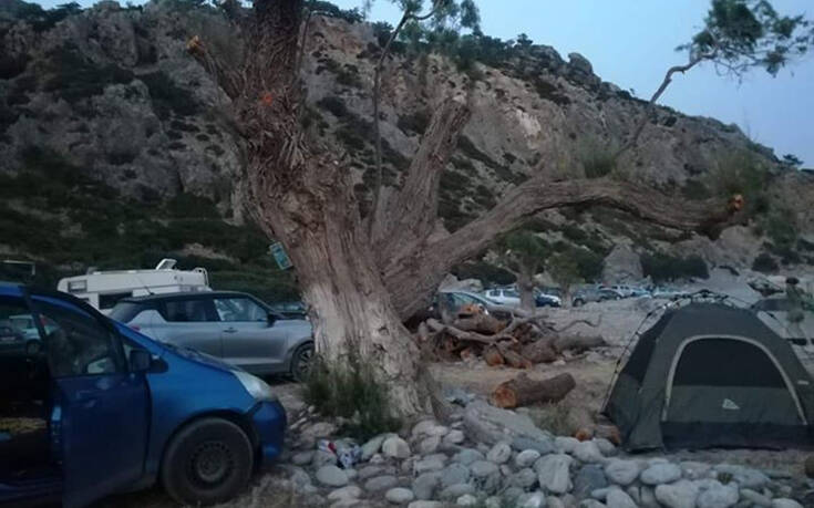 Καταγγελία ότι έκοψαν δέντρα στην Κρήτη για να αποτρέψουν το ελεύθερο camping