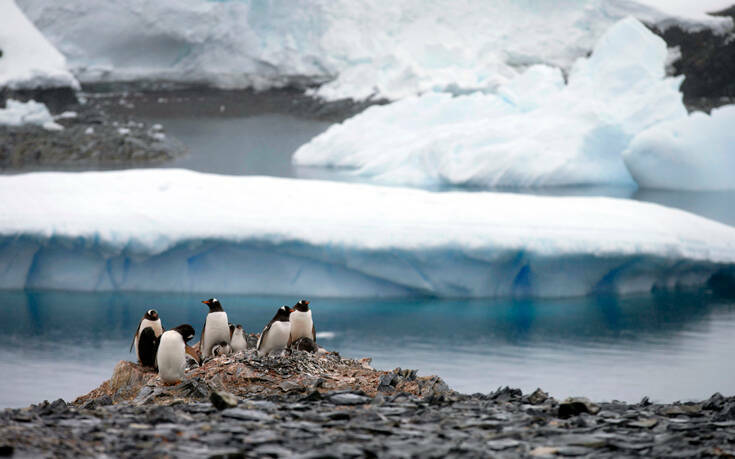 Η κλιματική αλλαγή κάνει&#8230; πράσινη την Ανταρκτική
