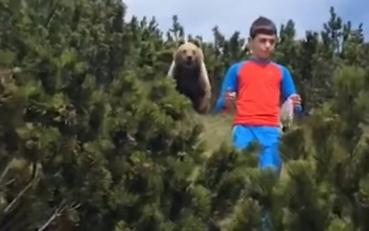 Η τρομακτική στιγμή της συνάντησης ενός αγοριού με μία αρκούδα και η ψύχραιμη αντίδραση που τον έσωσε