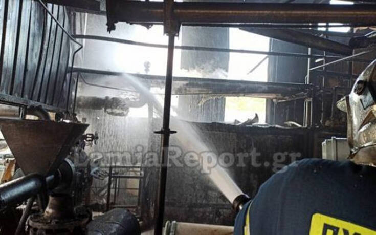 Φωτογραφίες από μεγάλη φωτιά σε εργοστάσιο στην Αυλίδα