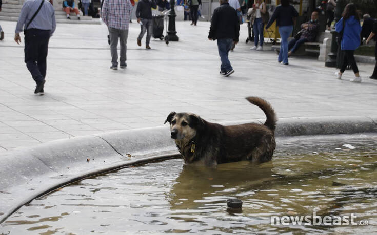 Έριξε τις βουτιές του παρά τον κακό καιρό