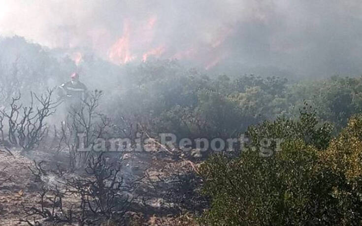 Φωτιά στο Μαρτίνο Φθιώτιδας: Ανεξέλεγκτη η πυρκαγιά &#8211; Πέρασαν την εθνική οδό οι φλόγες