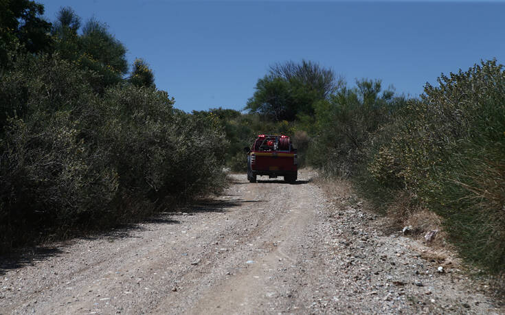 Υψηλός σήμερα ο κίνδυνος πυρκαγιάς σε Αιγαίο και Κρήτη