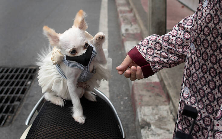 AP 20156406506932 Associated Press, the best photos of the week