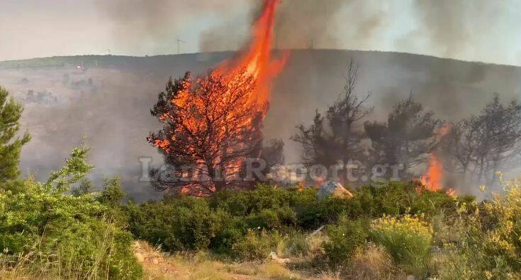 Τεράστια μάχη με τις φλόγες στο Μαρτίνο – Βίντεο από τη φωτιά να «καταπίνει» δέντρα