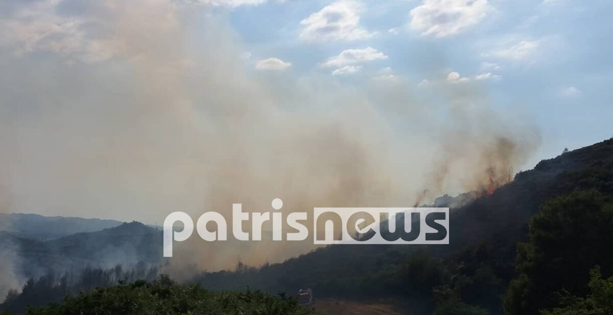 Ηλεία: Πυρκαγιά στο χωριό Σέκουλα