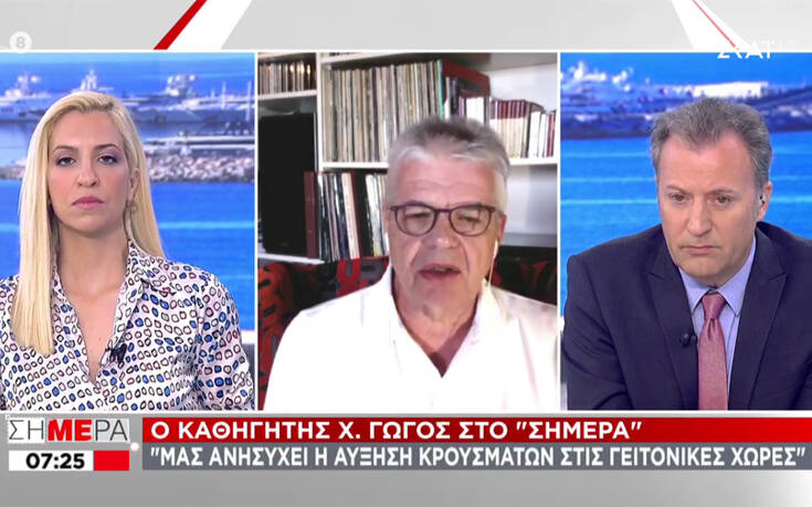 Γώγος: Τα τρία σενάρια για την εξέλιξη του κορονοϊού – Πότε μπορεί να «κλείσει» ο τουρισμός