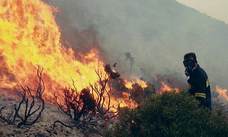 Πυρκαγιά στη Βάρη – Ισχυρές δυνάμεις της Πυροσβεστικής στο σημείο