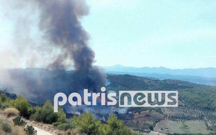 Φωτιά τώρα σε δασική έκταση στον Πύργο Ηλείας