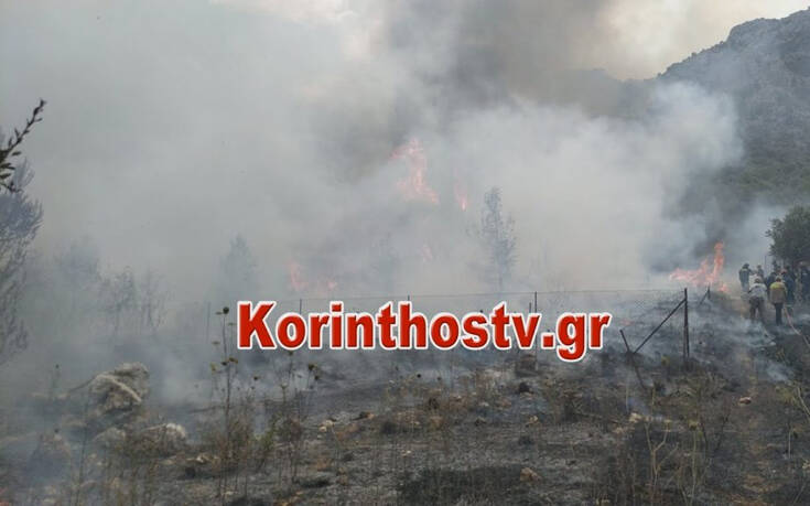 Μεγάλη φωτιά τώρα στις Κεχριές Κορινθίας: Πληροφορίες για εκκένωση οικισμών και κατασκήνωσης