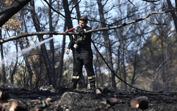 Έσβησε φωτιά που είχε ξεσπάσει μεταξύ δύο χωριών στη Λέσβο