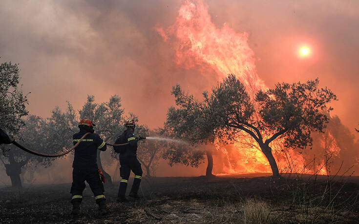 Φωτιά στις Κεχριές: Εκκενώθηκε κι άλλος οικισμός και κατασκήνωση – Γιγαντιαία επιχείρηση της Πυροσβεστικής