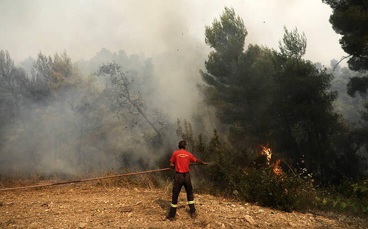 Υπό μερικό έλεγχο η πυρκαγιά στις Κεραμειές Κεφαλονιάς