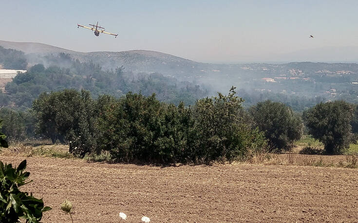 Φωτιά στη Λέσβο: Συνεχίζεται η μάχη με τις φλόγες στα βουνά της Θερμής