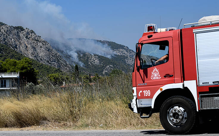 Φωτιά τώρα στην Αργολίδα