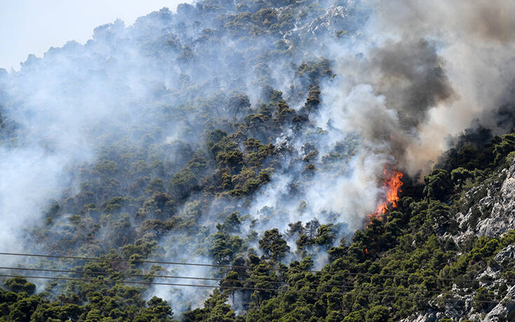 Φωτιά στις Κεχριές: Εισήγηση για εκκένωση του Σοφικού – Σε κατάσταση έκτακτης ανάγκης η ανατολική Κορινθία