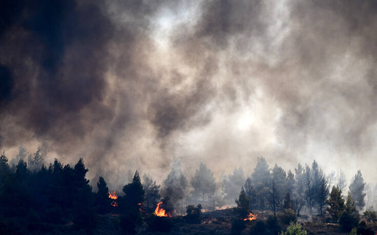 Μεγάλη επιχείρηση της Πυροσβεστικής για Γραμματικό και Κεχριές: Μία σύλληψη για τη φωτιά στην Ηλεία