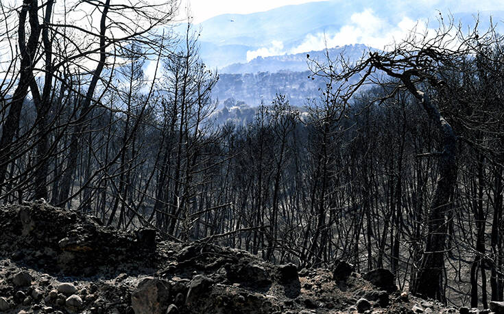 Σε ύφεση η πυρκαγιά στις Κεχριές Κορινθίας