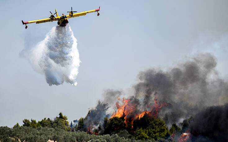 Σε ύφεση η πυρκαγιά στην περιοχή Σαρλάτα Κεφαλονιάς – Απομακρύνθηκαν προσωρινά οι κάτοικοι κοντινών οικισμών