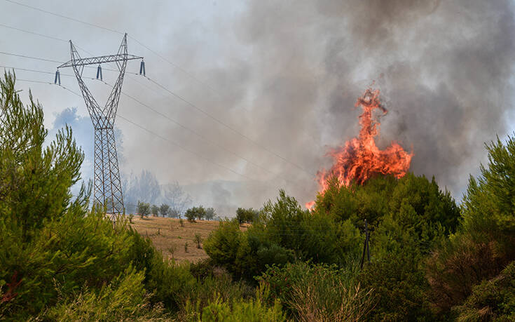 Πολύ υψηλός ο κίνδυνος πυρκαγιάς το Σάββατο σε τρεις Περιφέρειες
