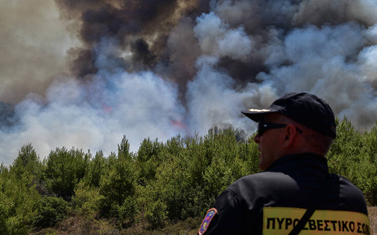 Υπό μερικό έλεγχο η φωτιά στην περιοχή Οινιαδών στο Μεσολόγγι