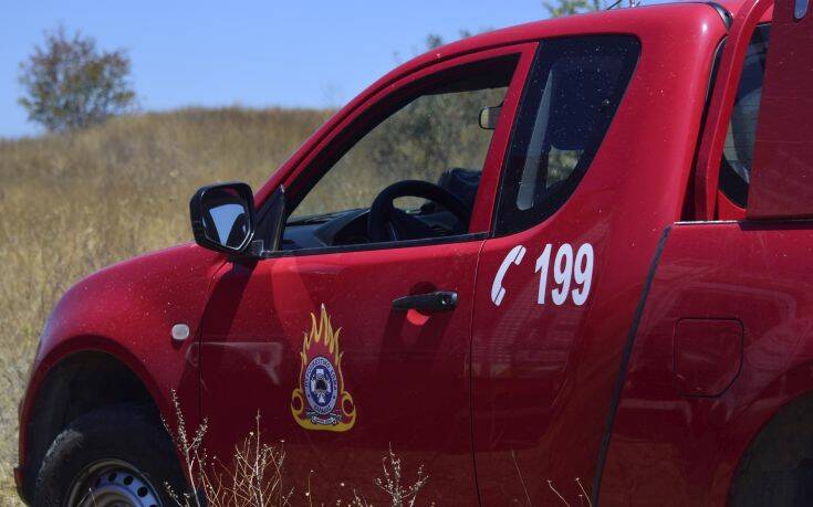 Φωτιές στο Θεολόγο: Προσαγωγή 14χρονου &#8211; Φέρεται να έχει σπείρει 13 πυρκαγιές τις τελευταίες 12 ημέρες