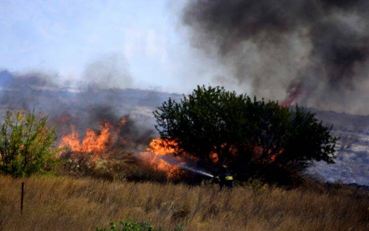 Φωτιά τώρα σε δασική έκταση στην Ηλεία