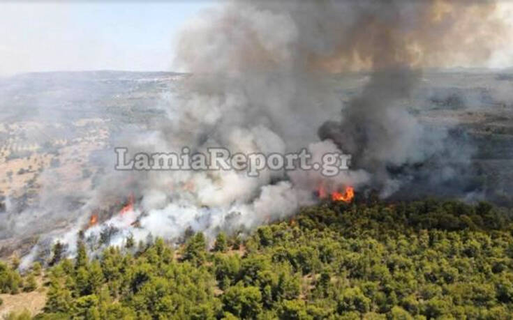 Ανεξέλεγκτη μαίνεται ακόμα η φωτιά στο Θεολόγο Φθιώτιδας