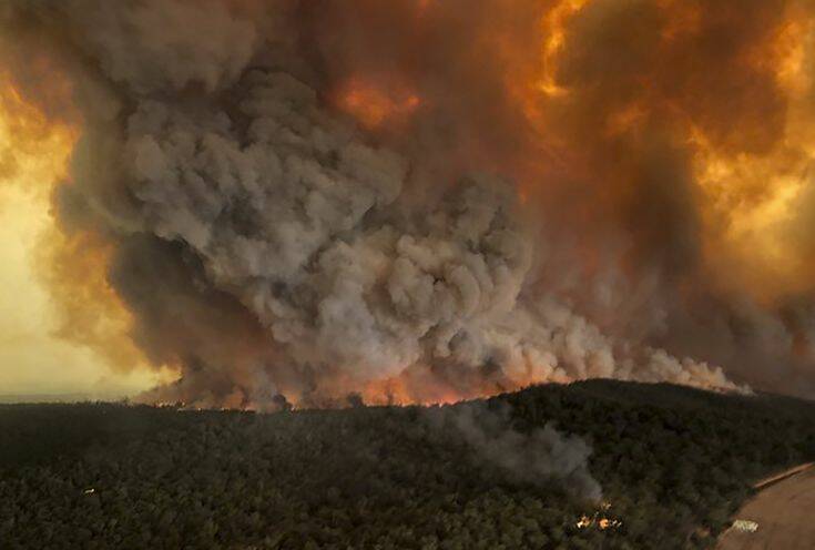 Η Αυστραλία ατελείωτος τάφος νεκρών ζώων: Σχεδόν τρία δισεκατομμύρια κάηκαν στις φωτιές