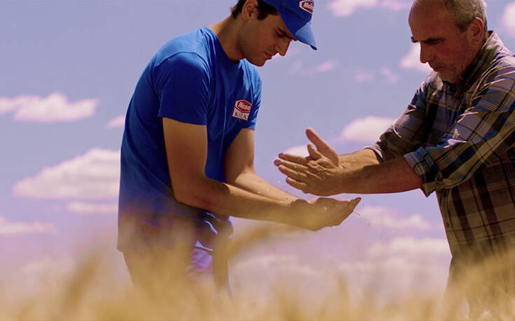 Θερισμός όπως καλοκαίρι