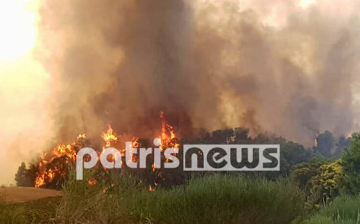 Φωτιά στο Γραμματικό: Ενισχύονται οι δυνάμεις της Πυροσβεστικής – Εικόνες από το σημείο