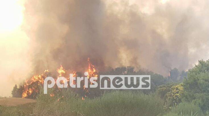 Φωτιά τώρα στην Ηλεία – Μεγάλη κινητοποίηση της Πυροσβεστικής