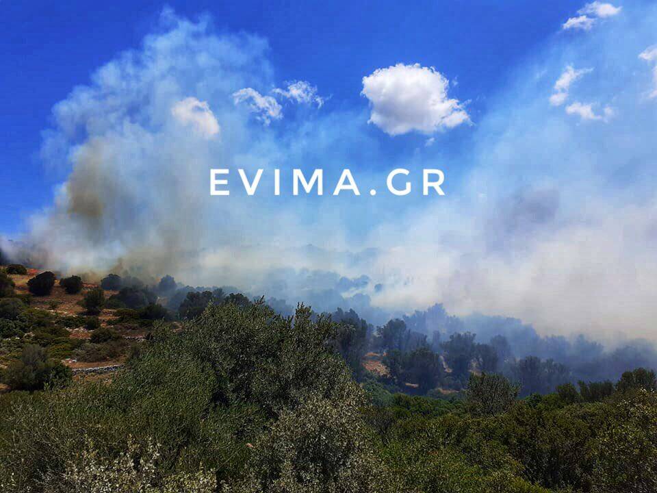 Εύβοια: Φωτιά κοντά στην Κάρυστο