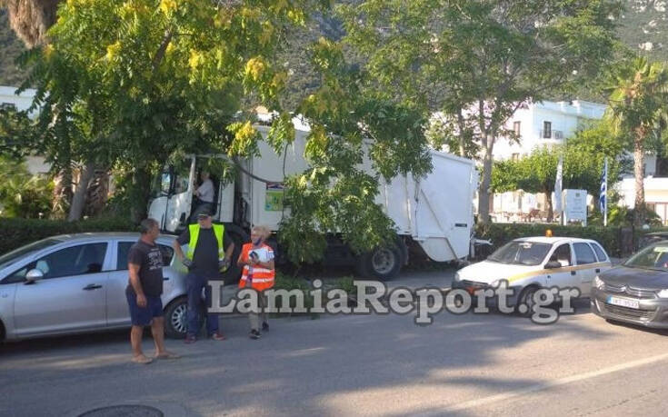 Καμένα Βούρλα: Σφήκα τσίμπησε οδηγό απορριμματοφόρου και ακολούθησε πανικός