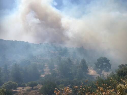 Μεγάλη πυρκαγιά στην Κύπρο &#8211; Ισχυρές δυνάμεις της Πυροσβεστικής στο σημείο
