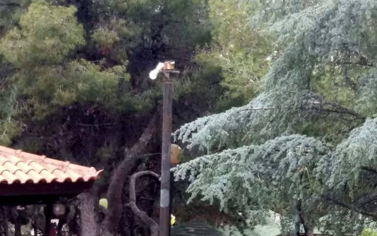 Μήνυση του Δήμου Βύρωνα κατά αγνώστων για βανδαλισμούς