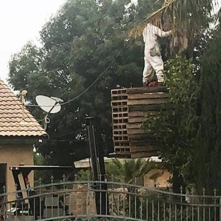 Η ασφάλεια δεν τους είναι πολύ γνωστή λέξη