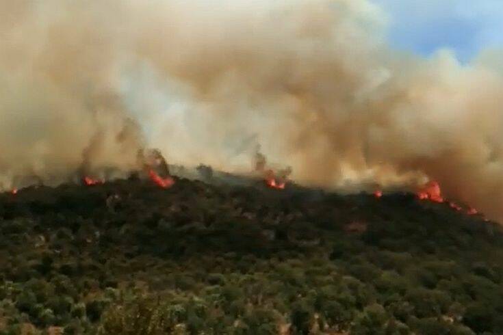 Σε πλήρη εξέλιξη η φωτιά στην Λακωνική Μάνη: Εκκενώθηκαν πέντε οικισμοί, ενισχύθηκαν οι πυροσβεστικές δυνάμεις