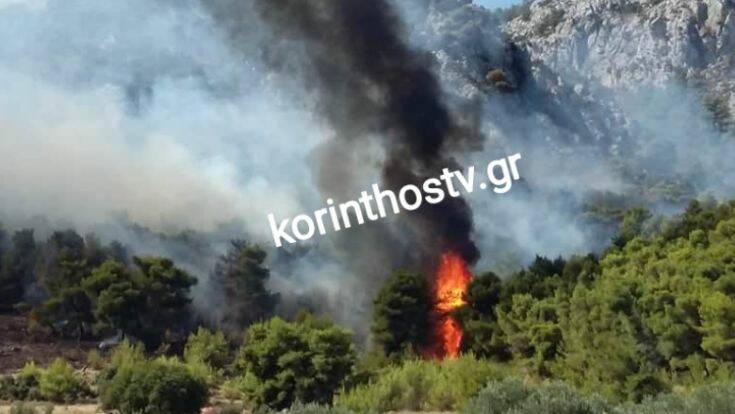Φωτιά τώρα σε δάσος νοτιοανατολικά του χωριού Αθίκια στην Κορινθία