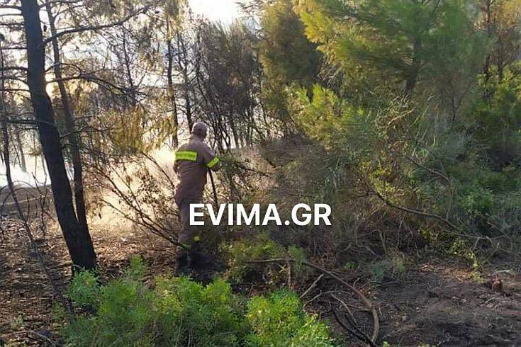 Υπό έλεγχο η πυρκαγιά στις Ροβιές Ευβοίας