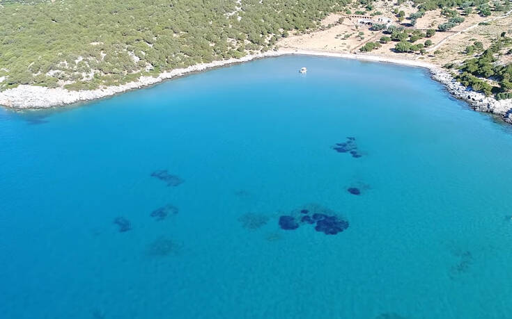 Το πιο δροσερό και εξωτικό… Μαντρί που έχετε δει στην Ελλάδα