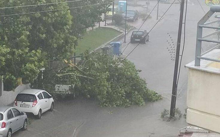 Θεσσαλονίκη: Πτώση δέντρου στην Θεσσαλονίκης &#8211; Ν. Μουδανιών και αποκλεισμός κυκλοφορίας