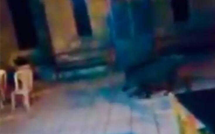 Αγριογούρουνο πήγε για… καφέ στην πλατεία χωριού της Δυτικής Φθιώτιδας