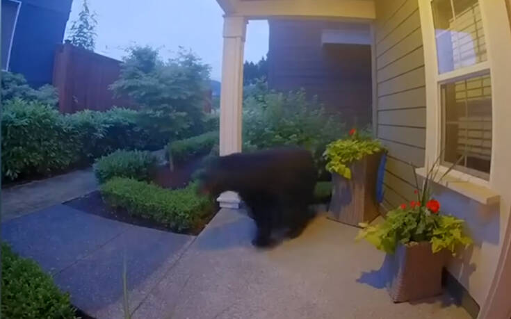 Τι μπορεί να ανακαλύψεις με μια κάμερα ασφαλείας στην εξώπορτα