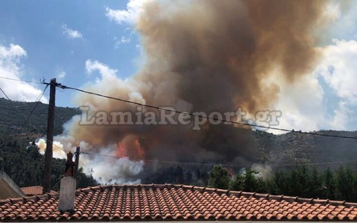 Μεγάλη φωτιά τώρα στην Αταλάντη – Καίει σε δάσος κοντά σε σπίτια