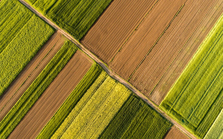 Ενημερωτικό Δελτίο Τιμών Αγροτικών Προϊόντων από την Τράπεζα Πειραιώς για τον Σεπτέμβριο 2020